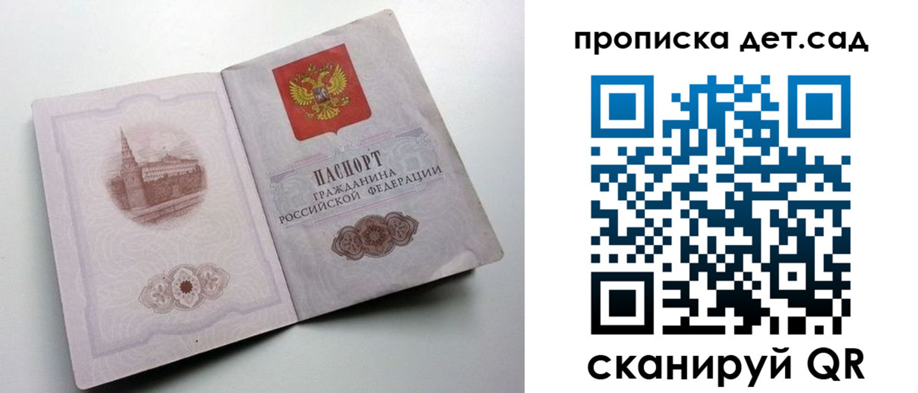пропишу в квартире в Светлогорске