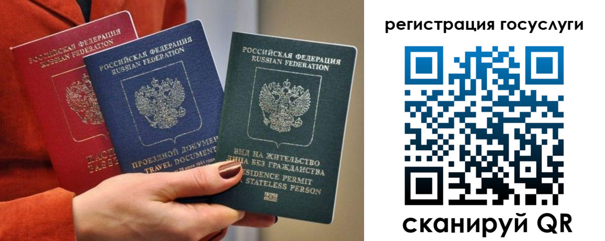 временная регистрация поиск в Светлогорске